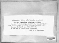 Image Associated With the Occurence
